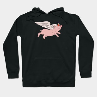 Magical Pig Hoodie